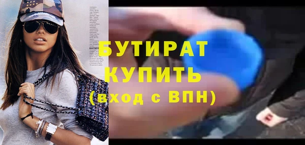 индика Алексин