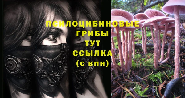 каннабис Алзамай