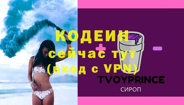 индика Слюдянка