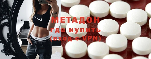 индика Алексин