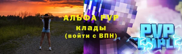 прущие грибы Снежногорск