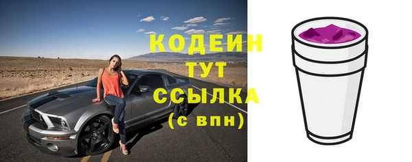 индика Слюдянка
