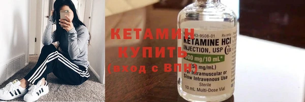 индика Алексин