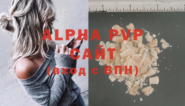прущие грибы Снежногорск