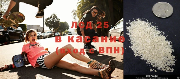 индика Алексин
