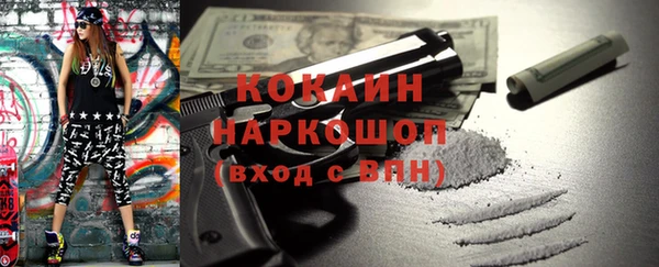 шишки Снежинск