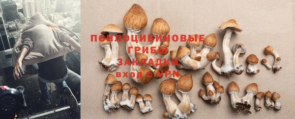 каннабис Алзамай