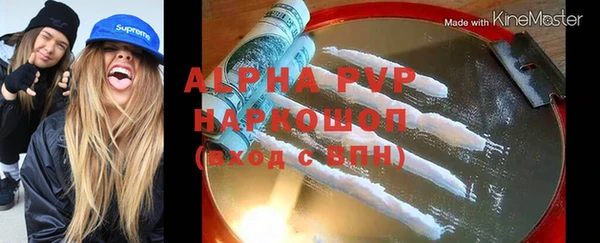 индика Алексин