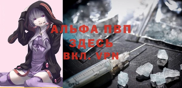 индика Алексин
