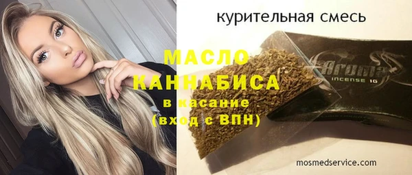 индика Алексин